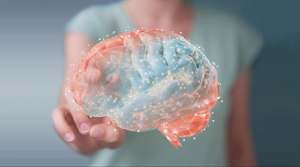 close up of a transparent model of the brain being held by a behavioral health specialist that shows the areas targeted by TMS treatment.